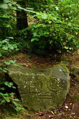 DSC_0919.jpg