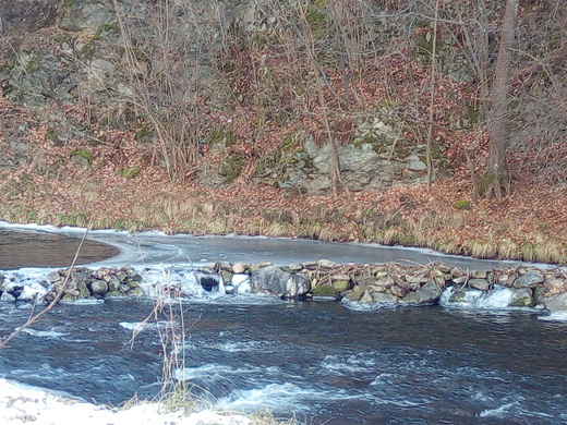 IMG_20201230_154210.jpg