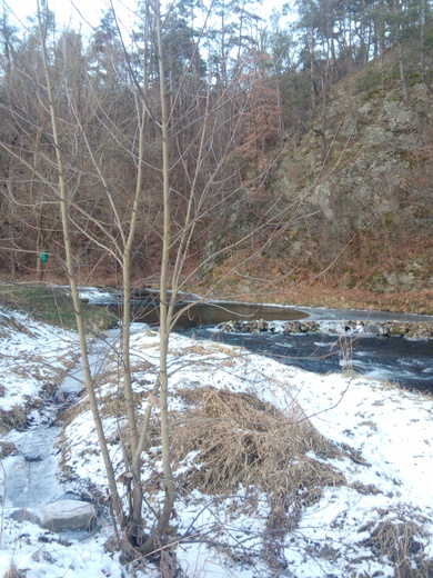 IMG_20201230_154220.jpg