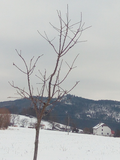 IMG_20210117_144404.jpg