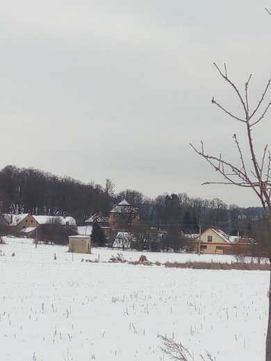 IMG_20210117_144418.jpg