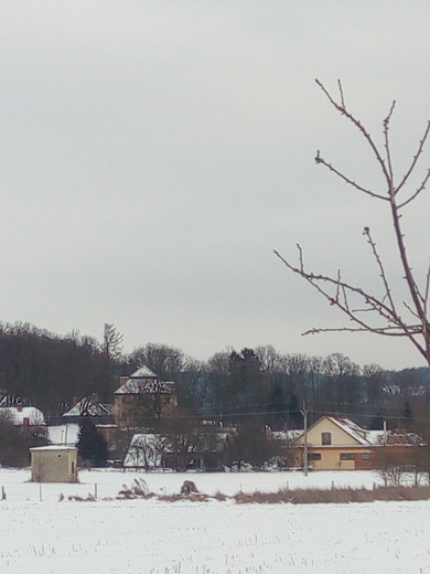 IMG_20210117_144432.jpg