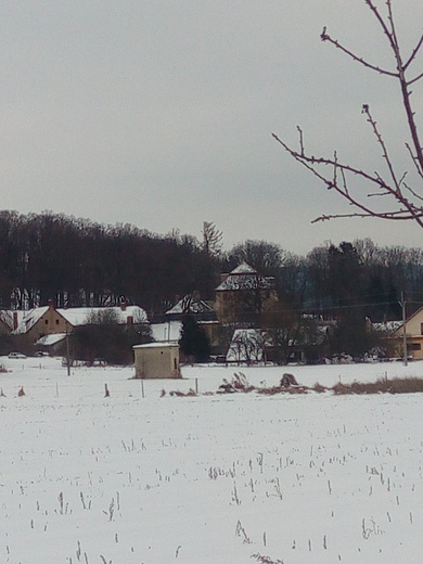 IMG_20210117_144448.jpg