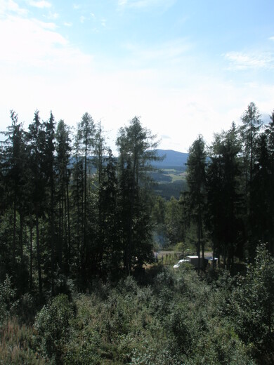 P9050862.JPG